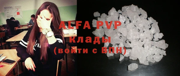 ешки Алексин