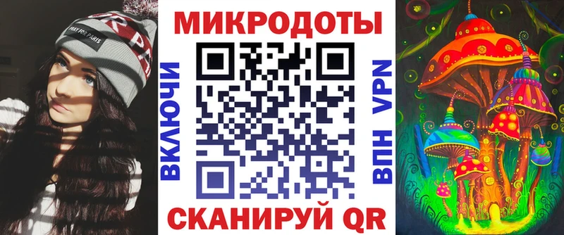 наркотики  Апатиты  Псилоцибиновые грибы Psilocybe 